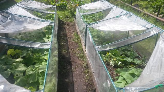 20140703_121508.jpg