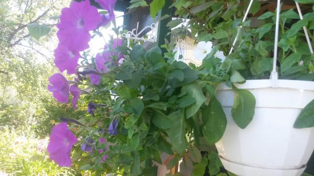 20140721_120848.jpg