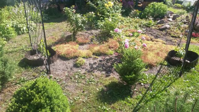 20140722_160712.jpg