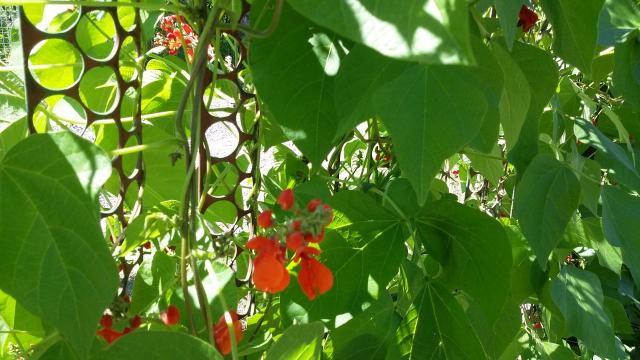 20150704_110049.jpg
