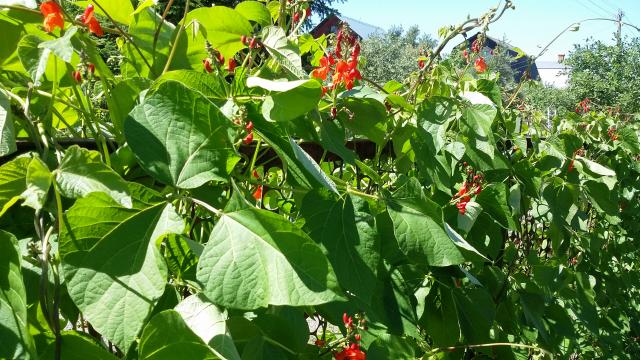 20150704_110044.jpg