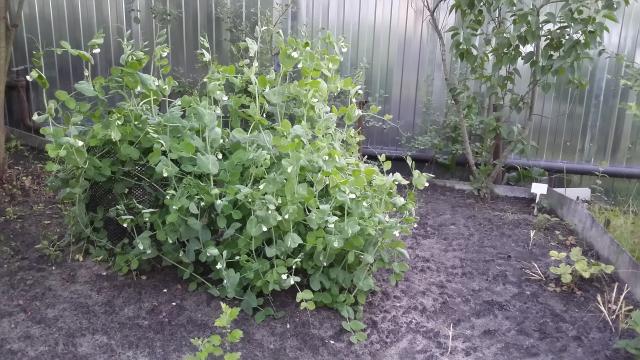 20150702_210855.jpg