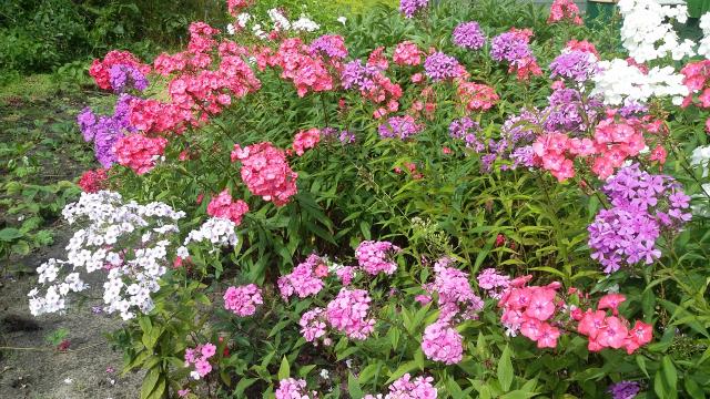 20160722_101337.jpg