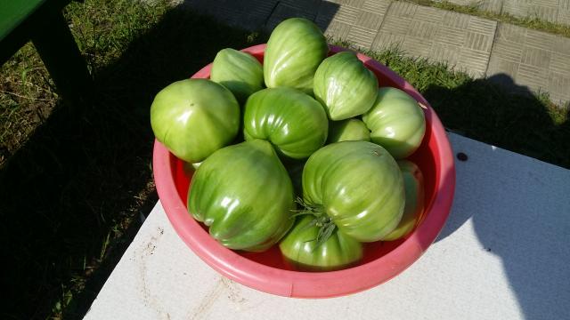 20160731_092112.jpg
