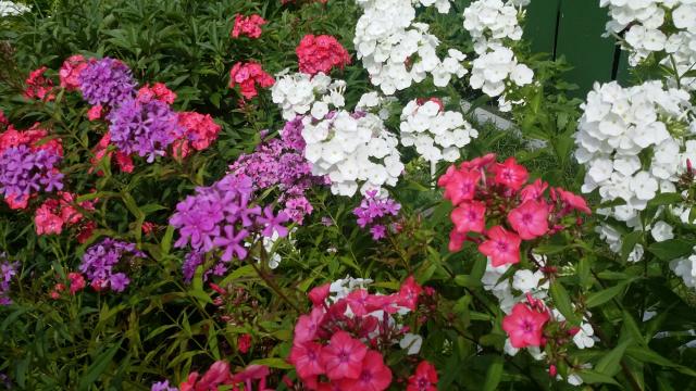 20160722_101306.jpg