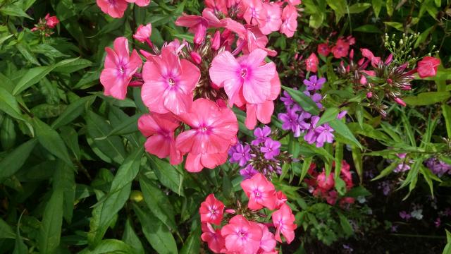 20160722_101244.jpg