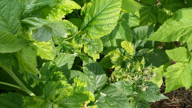 20160720_171613.jpg