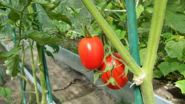 20160730_150036.jpg
