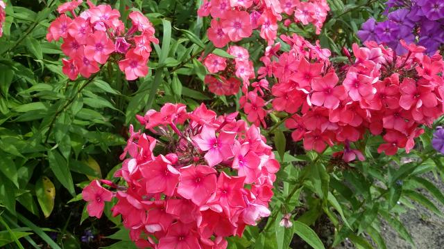 20160722_101227.jpg