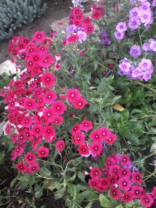 20160722_075727.jpg