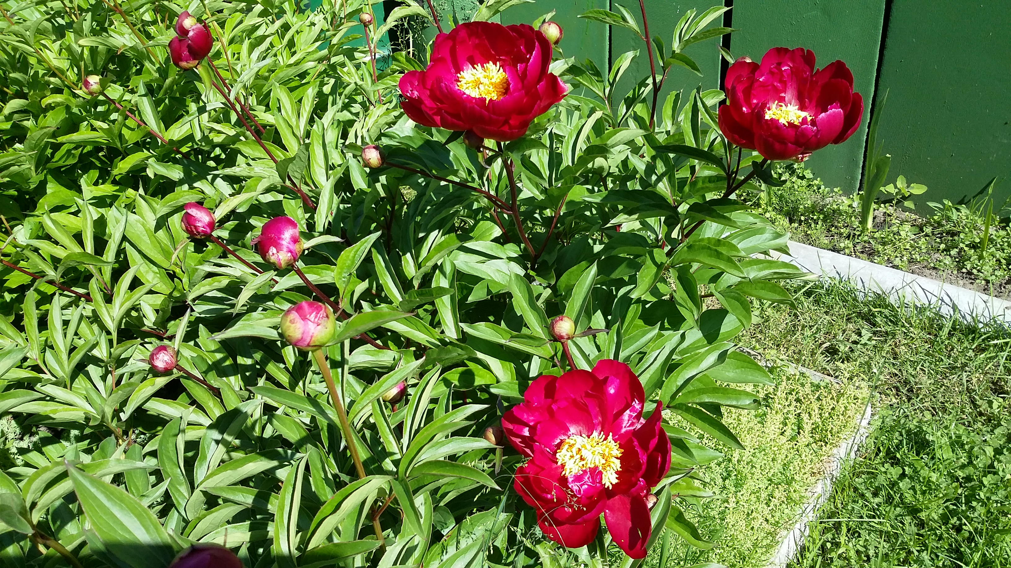 20170624_092438.jpg