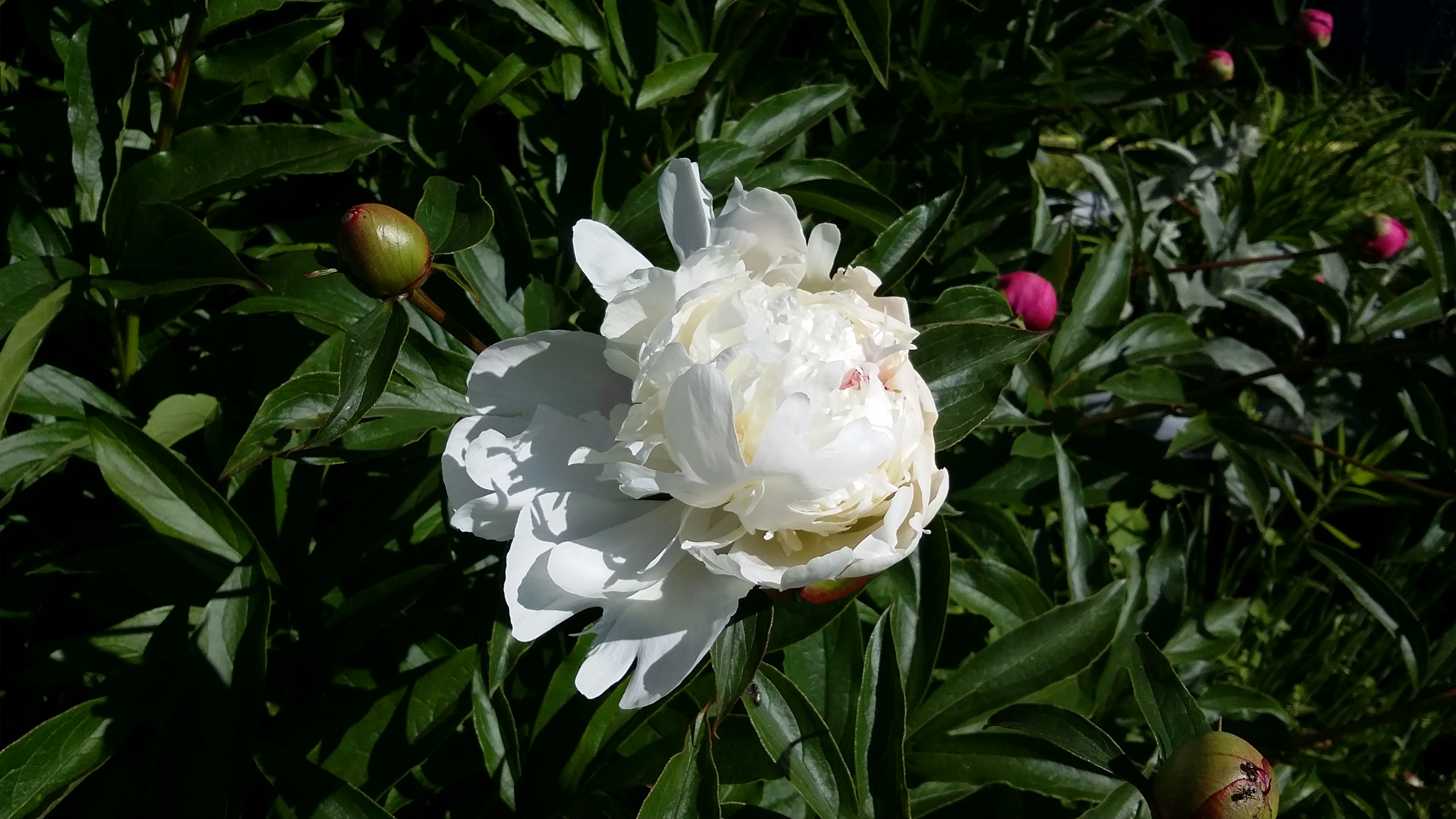 20170624_092456.jpg