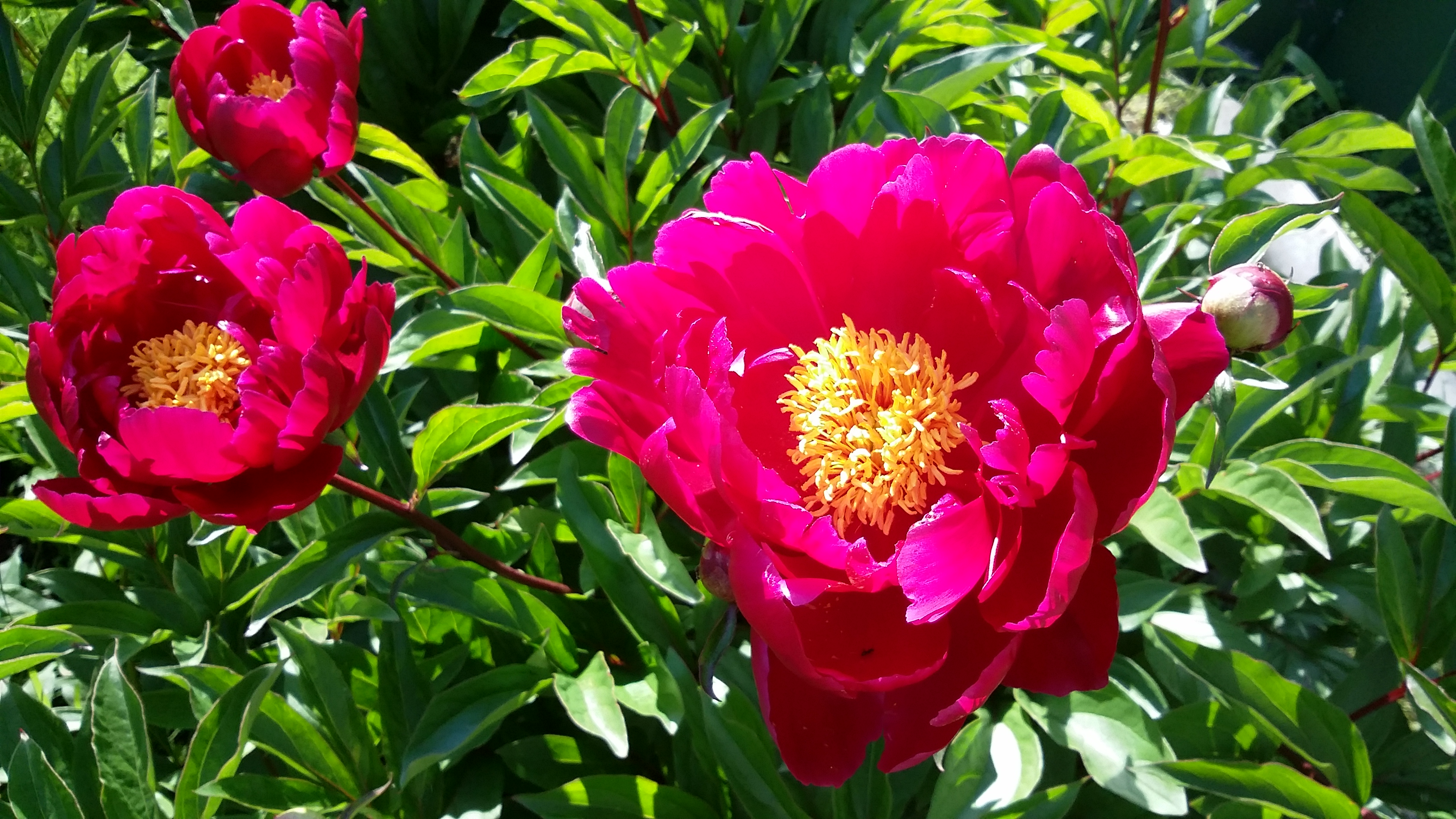 20170625_171828.jpg