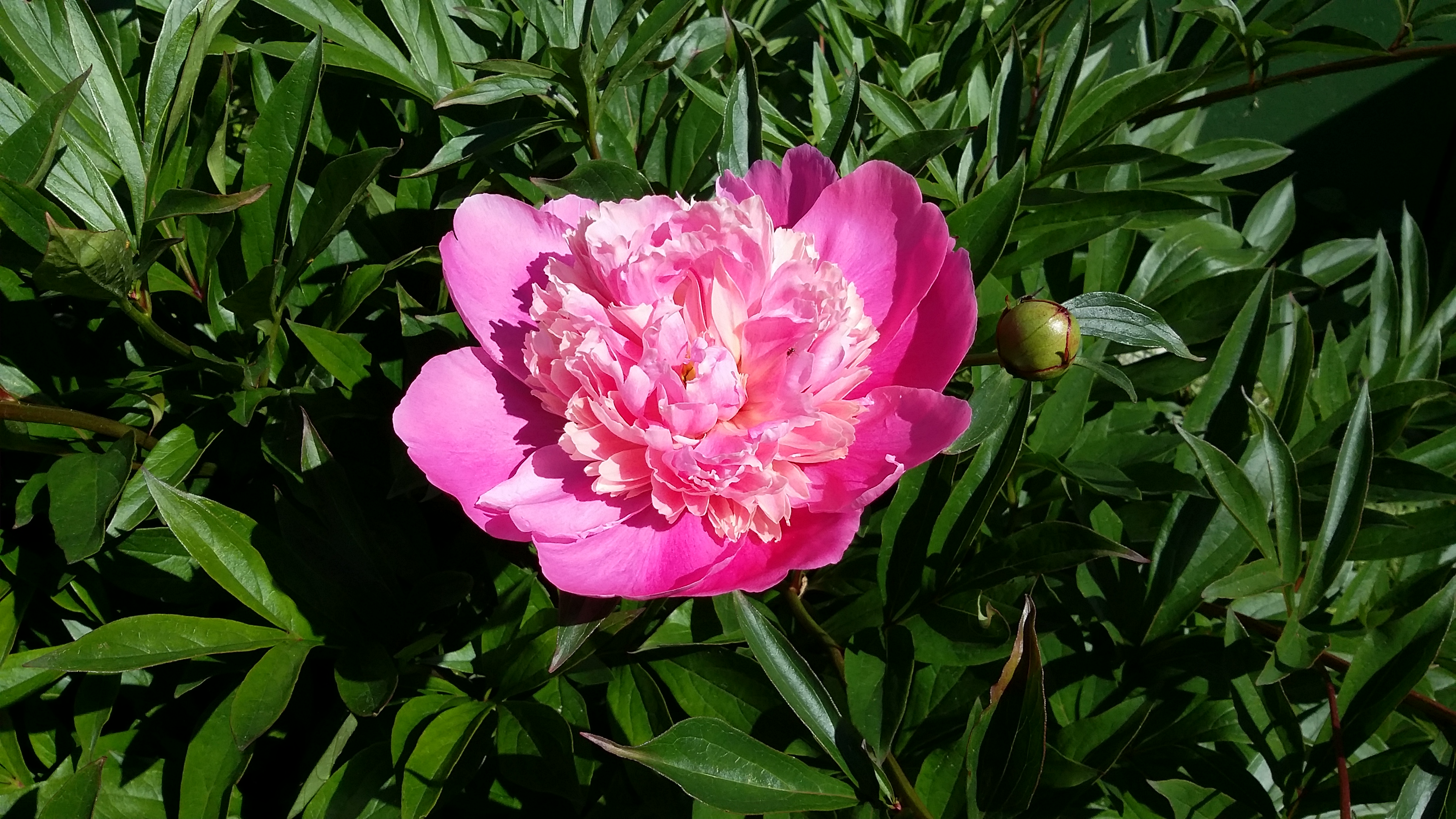 20170624_092505.jpg