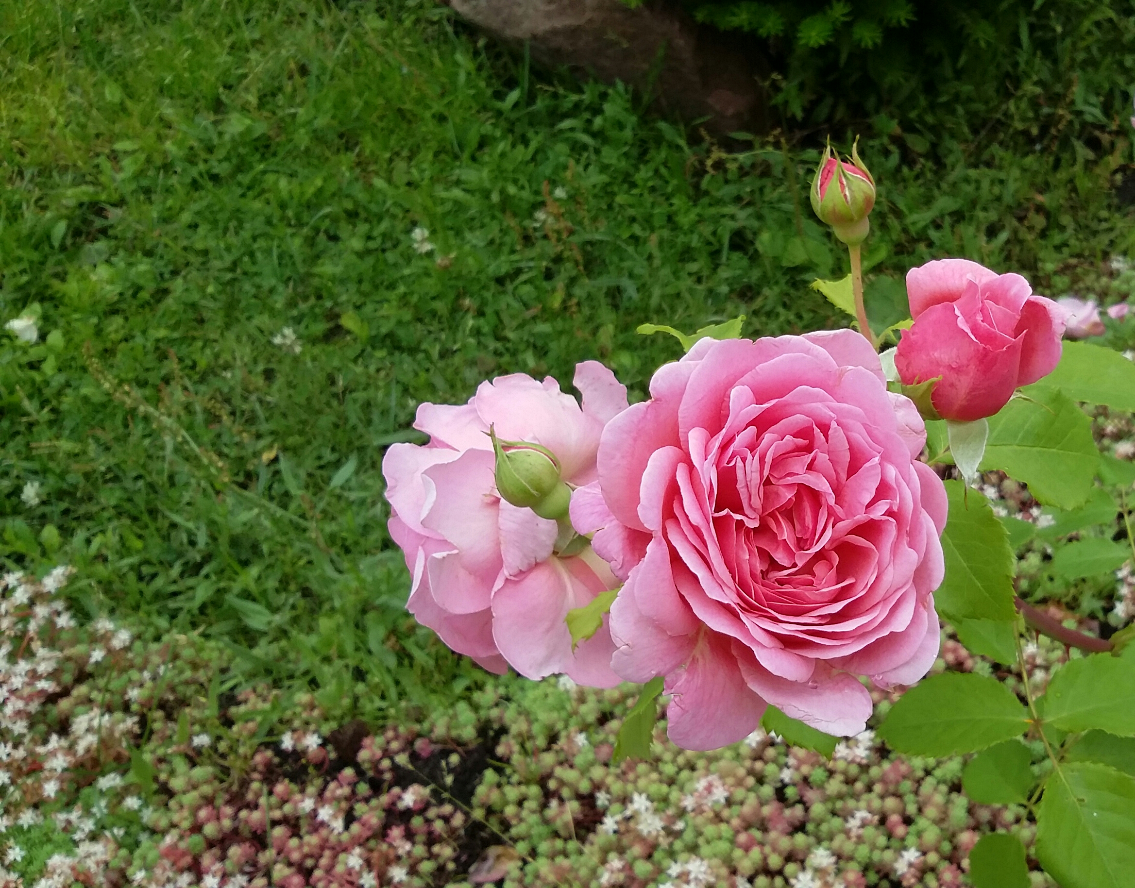 2017-07-22 22.23.51.jpg