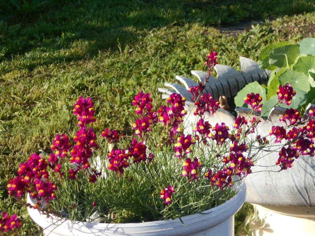 DSCN2248.JPG