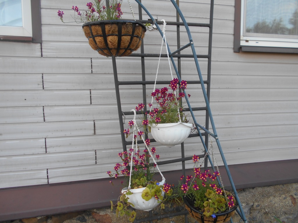 DSCN2247.JPG