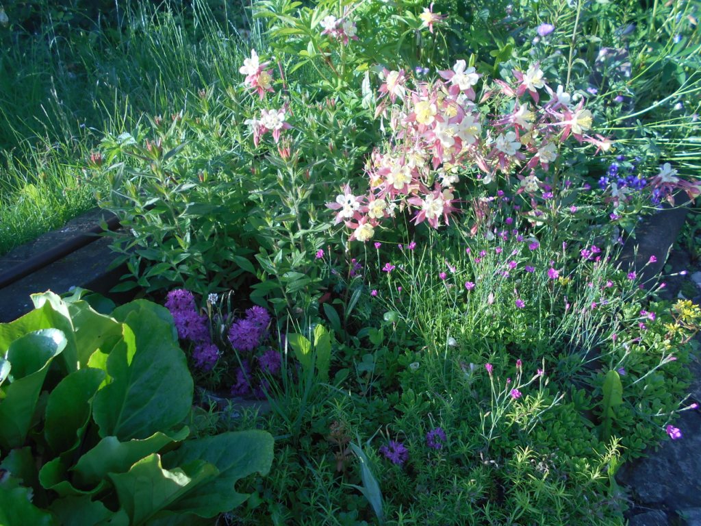 DSCN2240.JPG