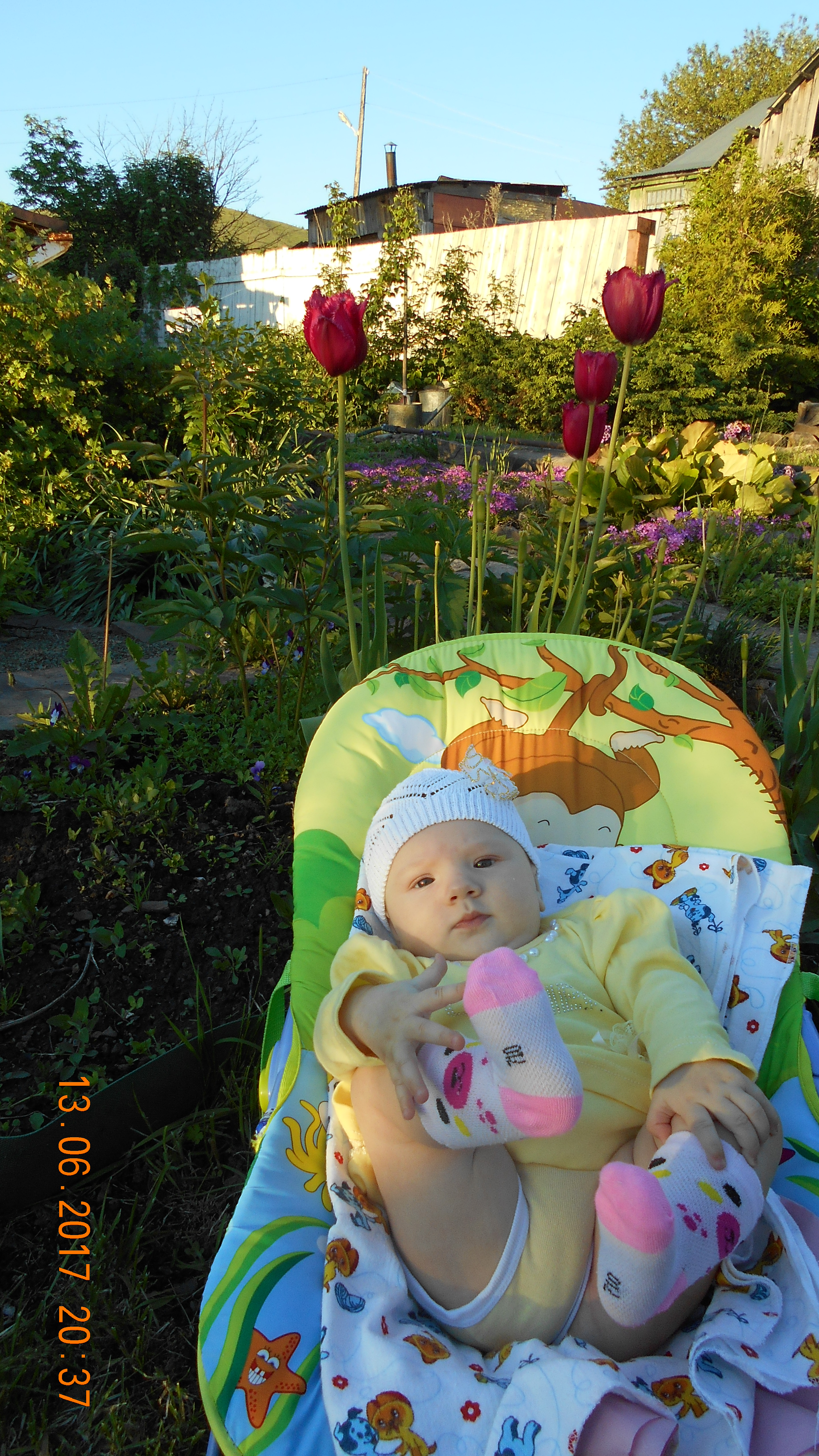 DSCN2184.JPG
