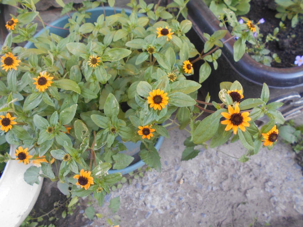 DSCN2249.JPG