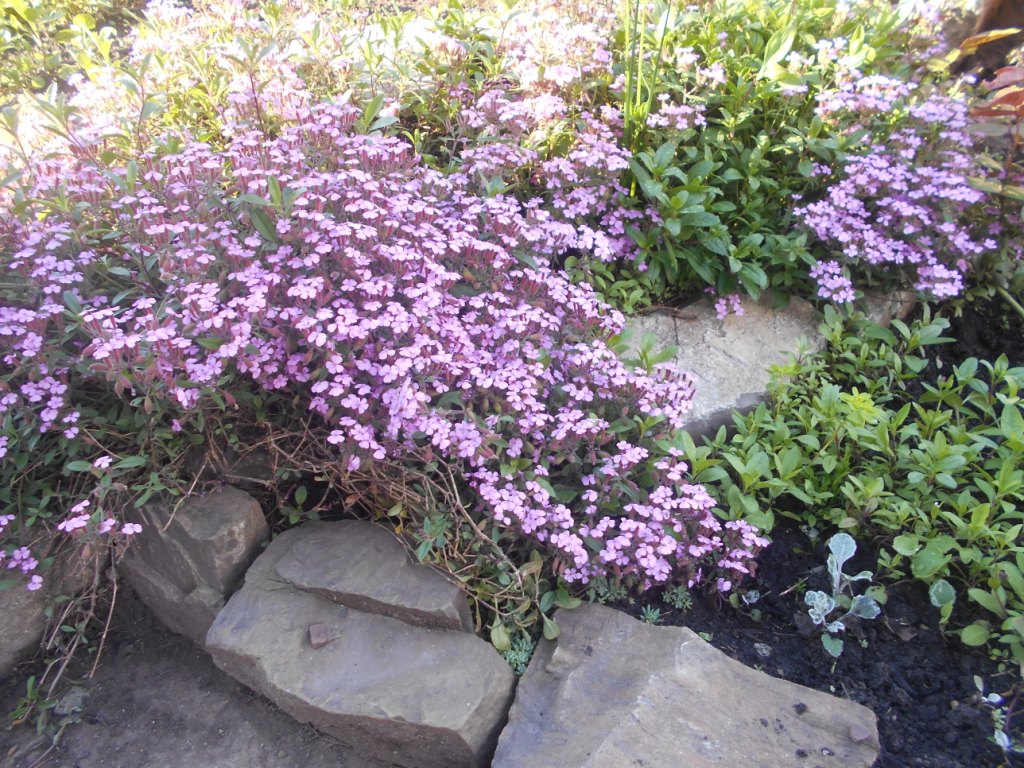 DSCN2246.JPG