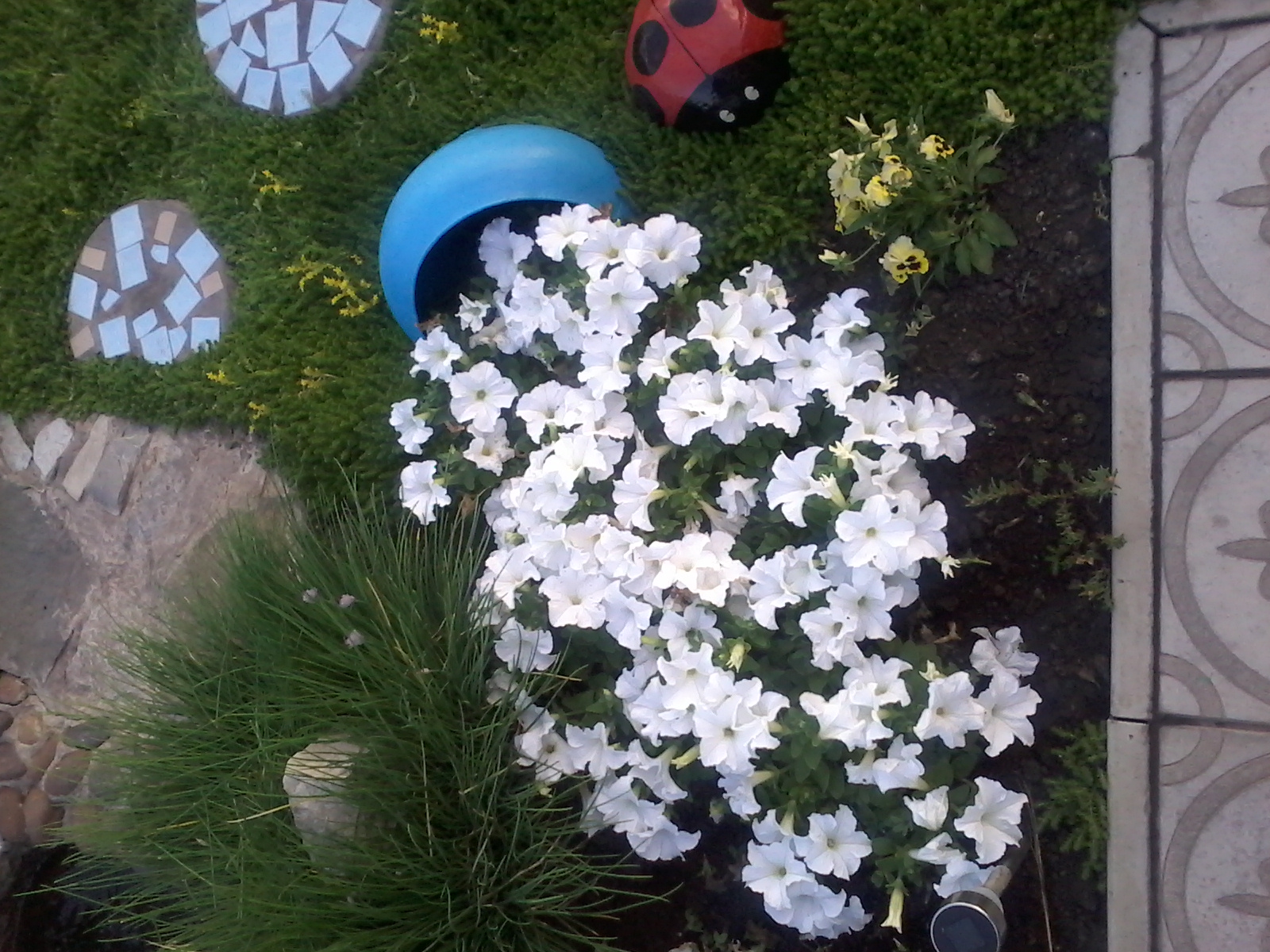 20170718_211522.jpg