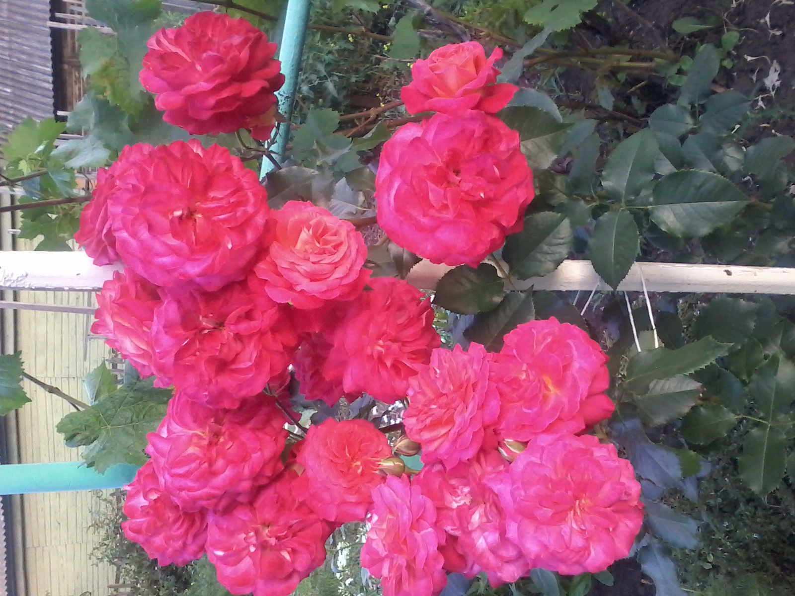 20170718_211328.jpg