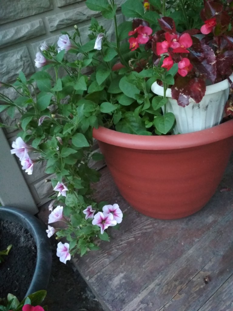 IMG_20180707_214817.jpg