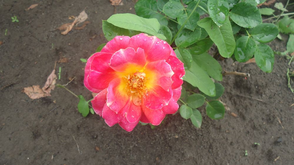 DSC01277.JPG