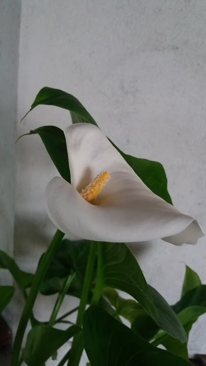 20160620_211010.jpg