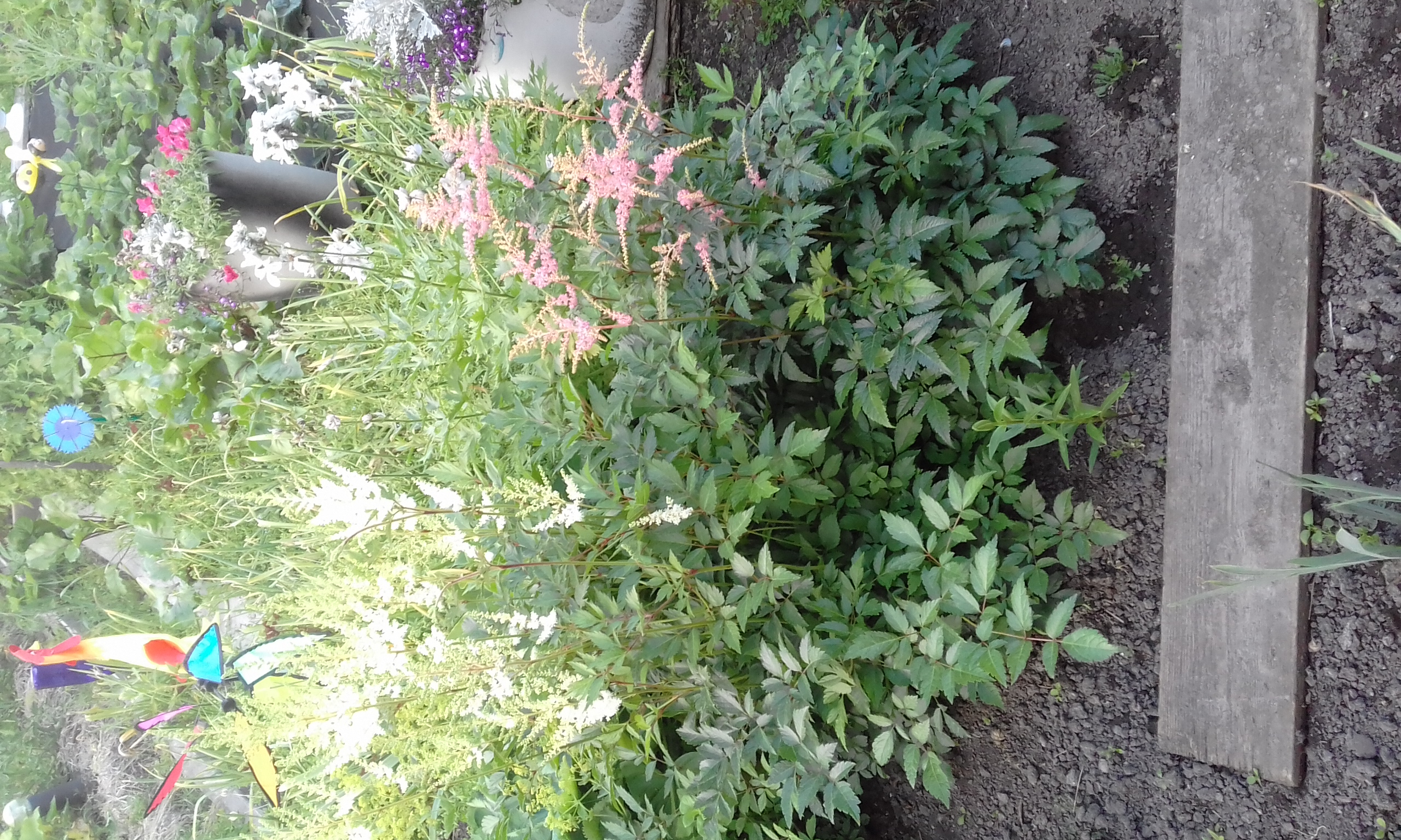 20180725_203317.jpg