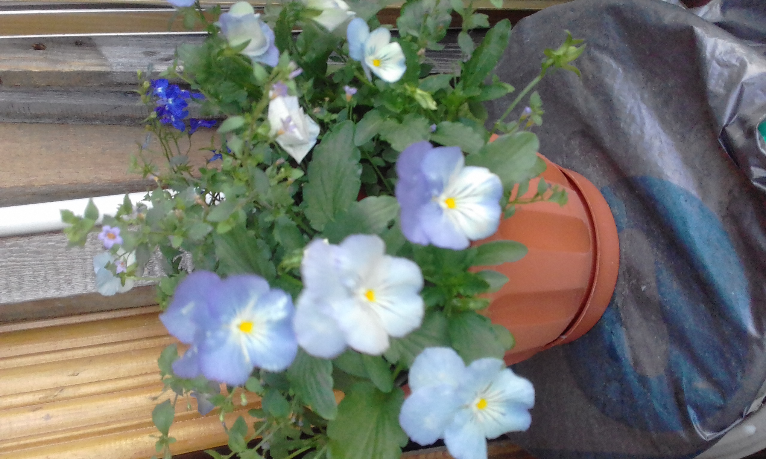 20180724_215020.jpg