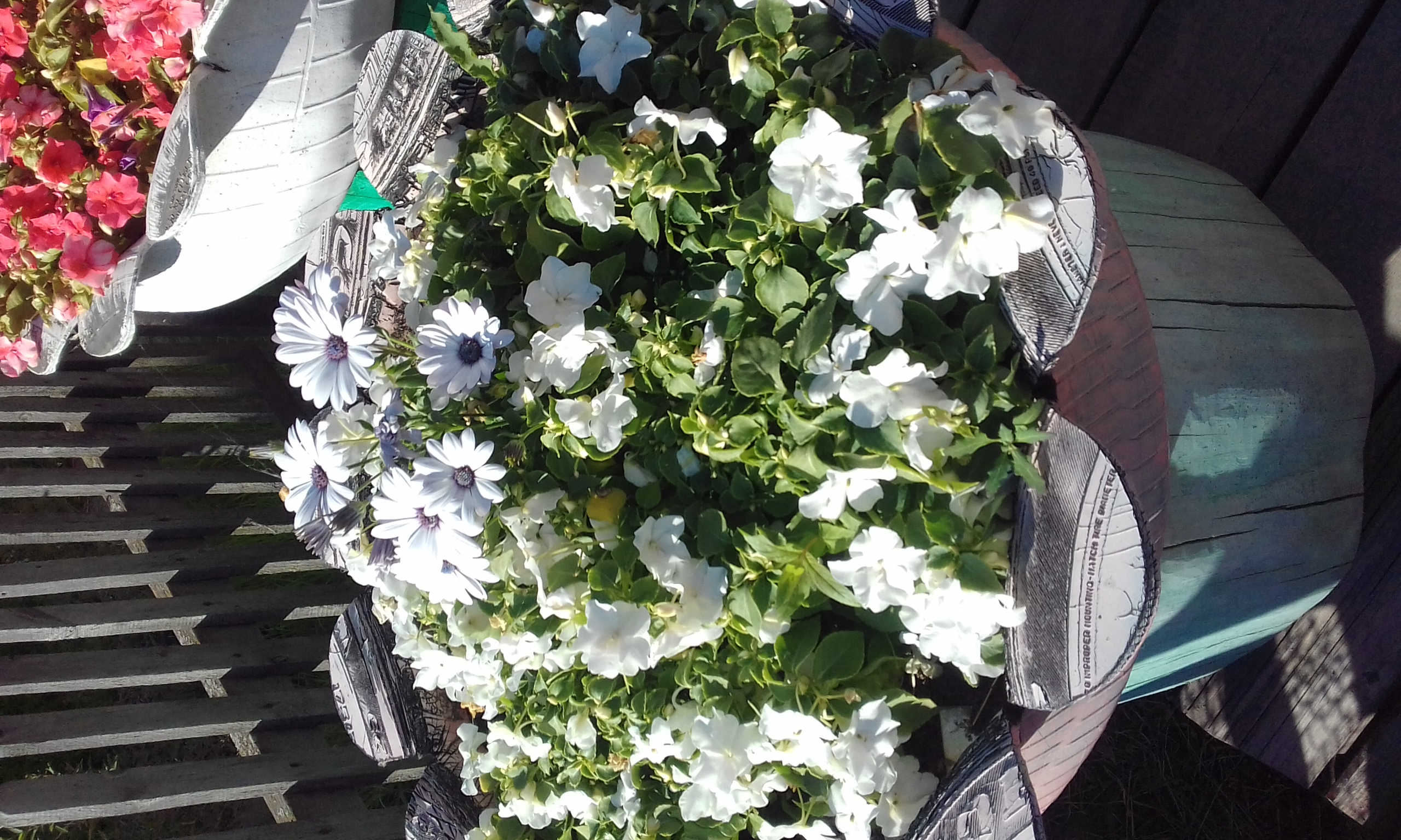 20180726_183729.jpg