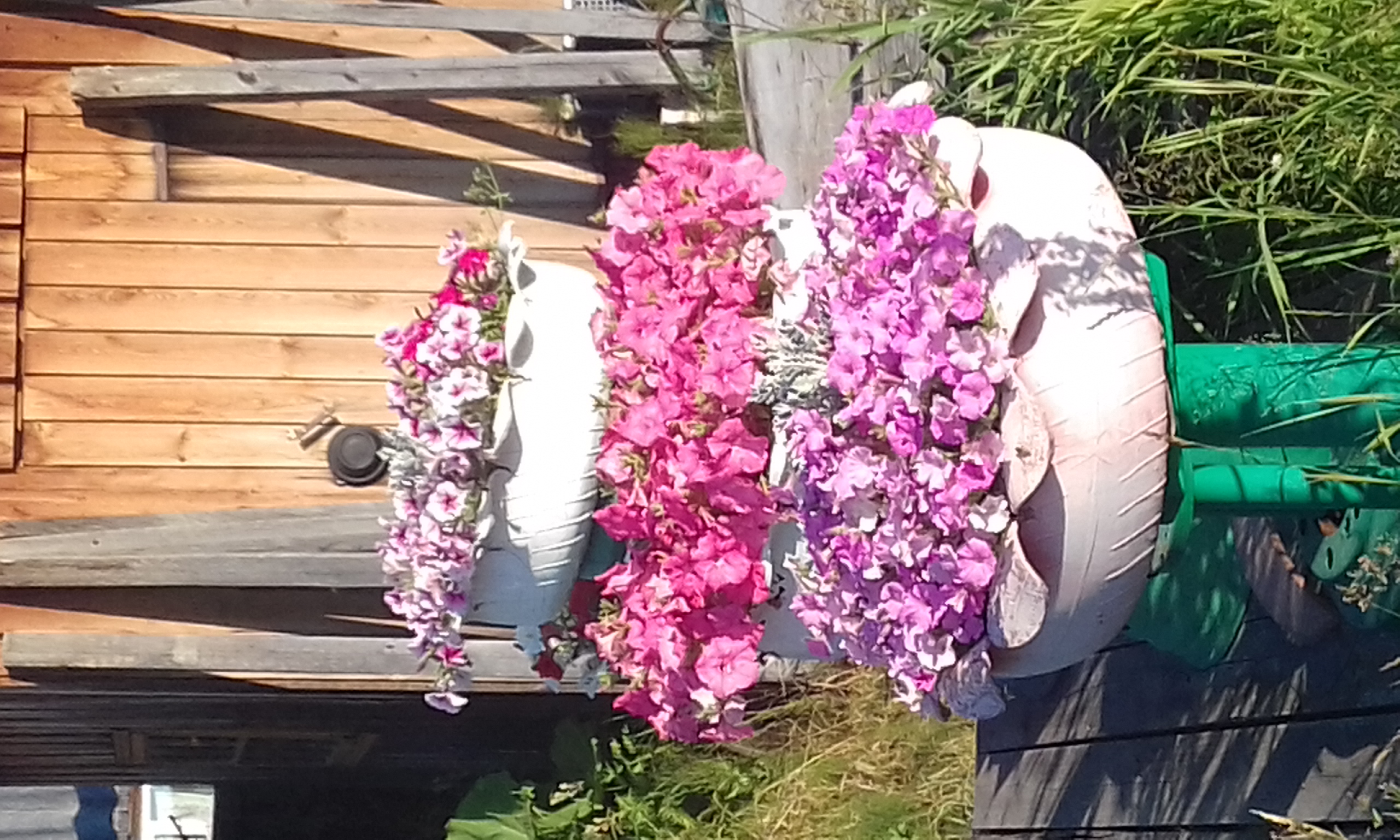 20180726_075556.jpg
