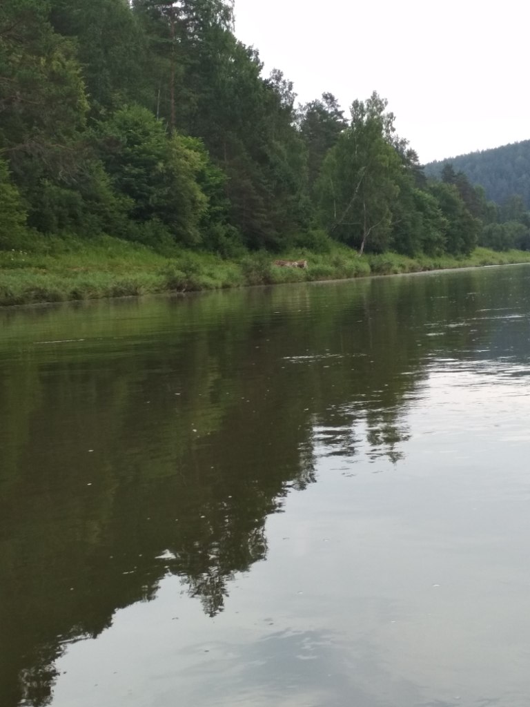 IMG_20190714_153639.jpg