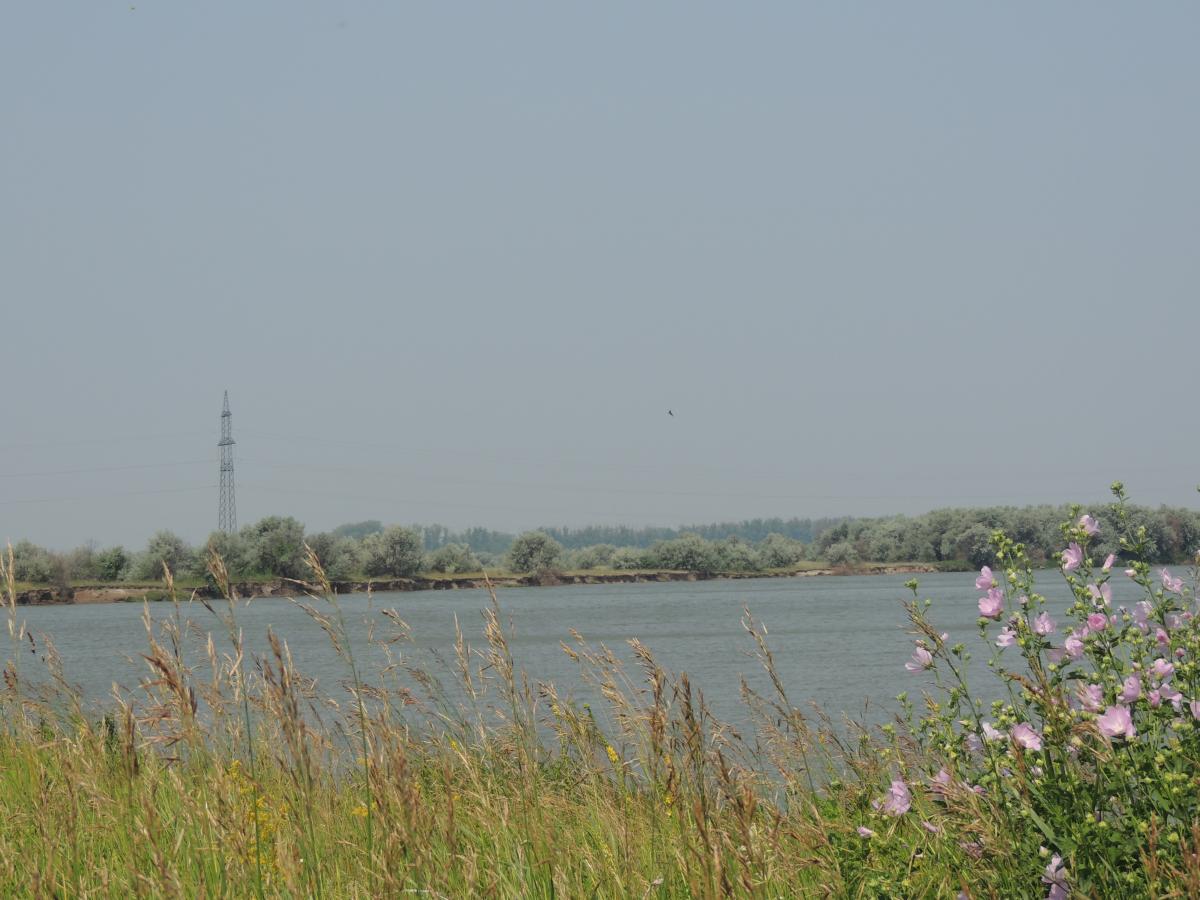 DSCN0941.JPG