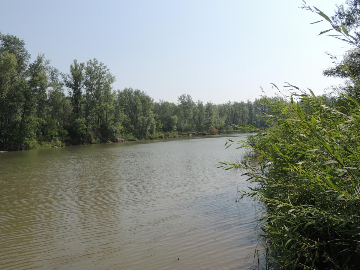 DSCN0886.JPG