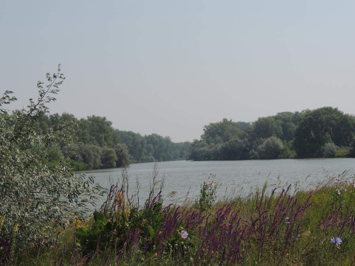 DSCN0947.JPG