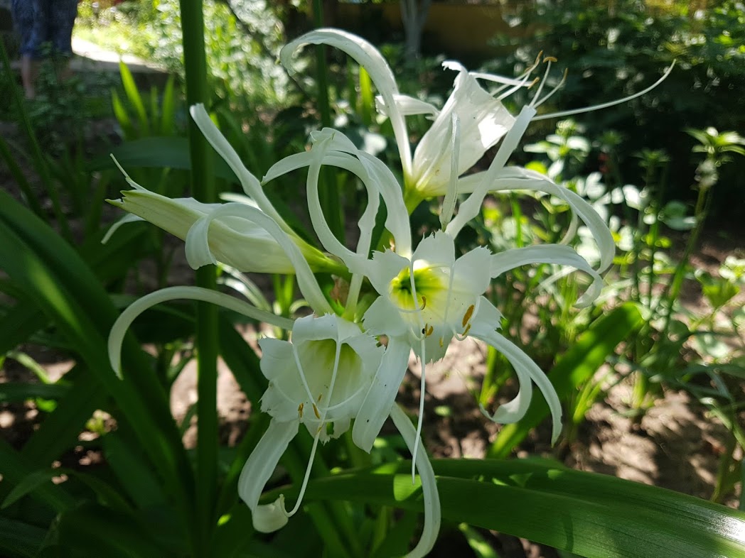 20190630_144757.jpg