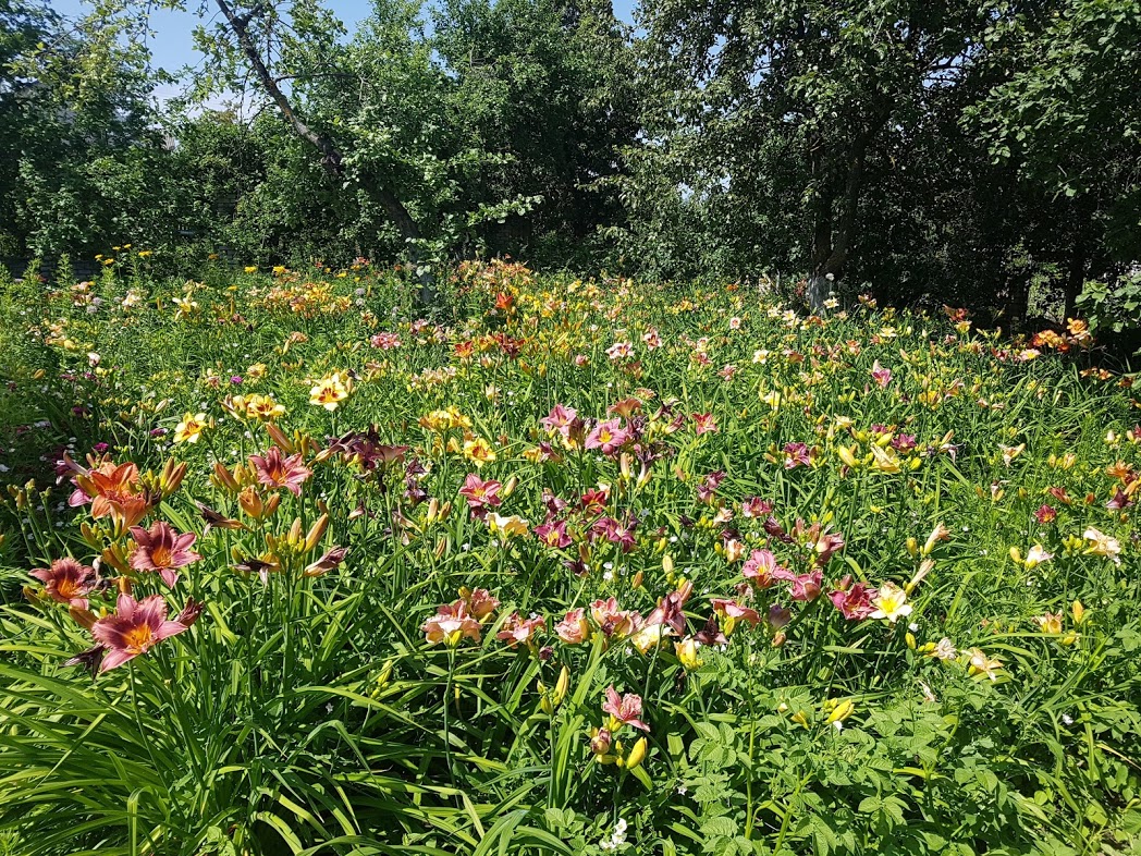 20190630_145025.jpg