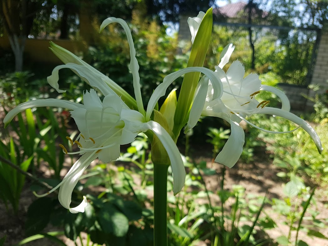 20190630_144747.jpg