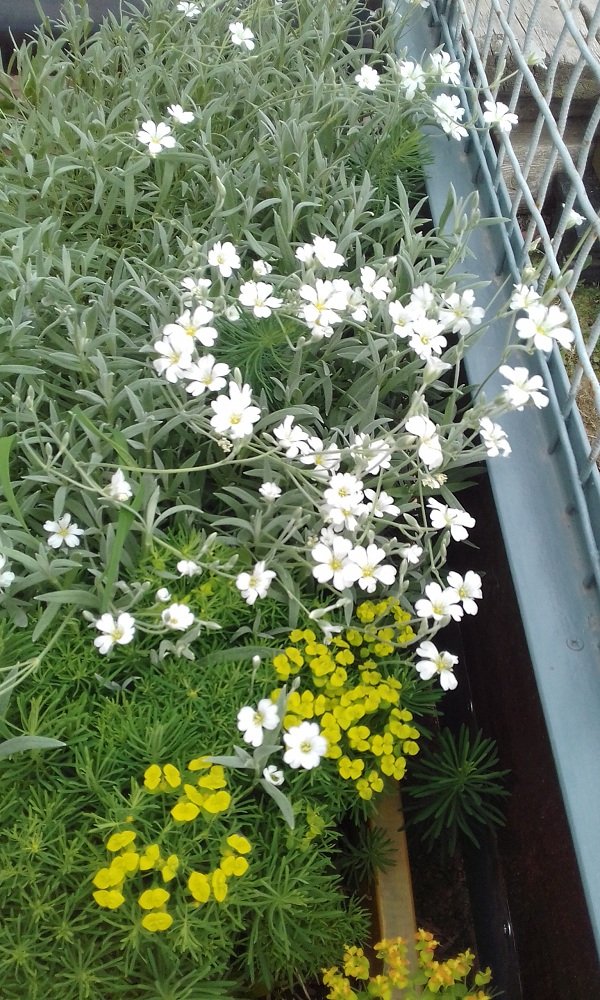 20190626_183539.jpg