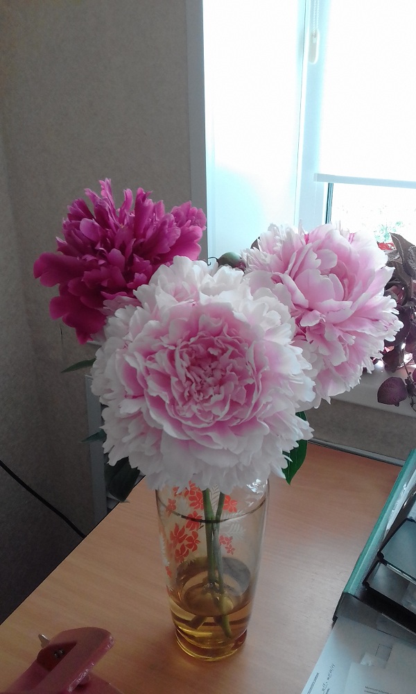 20190704_084834.jpg