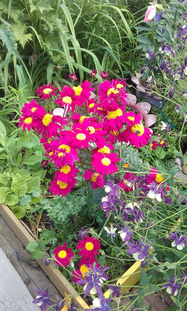 20190707_134930.jpg