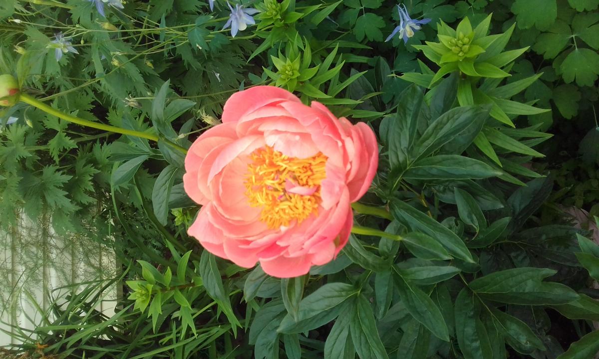 20190703_181836.jpg