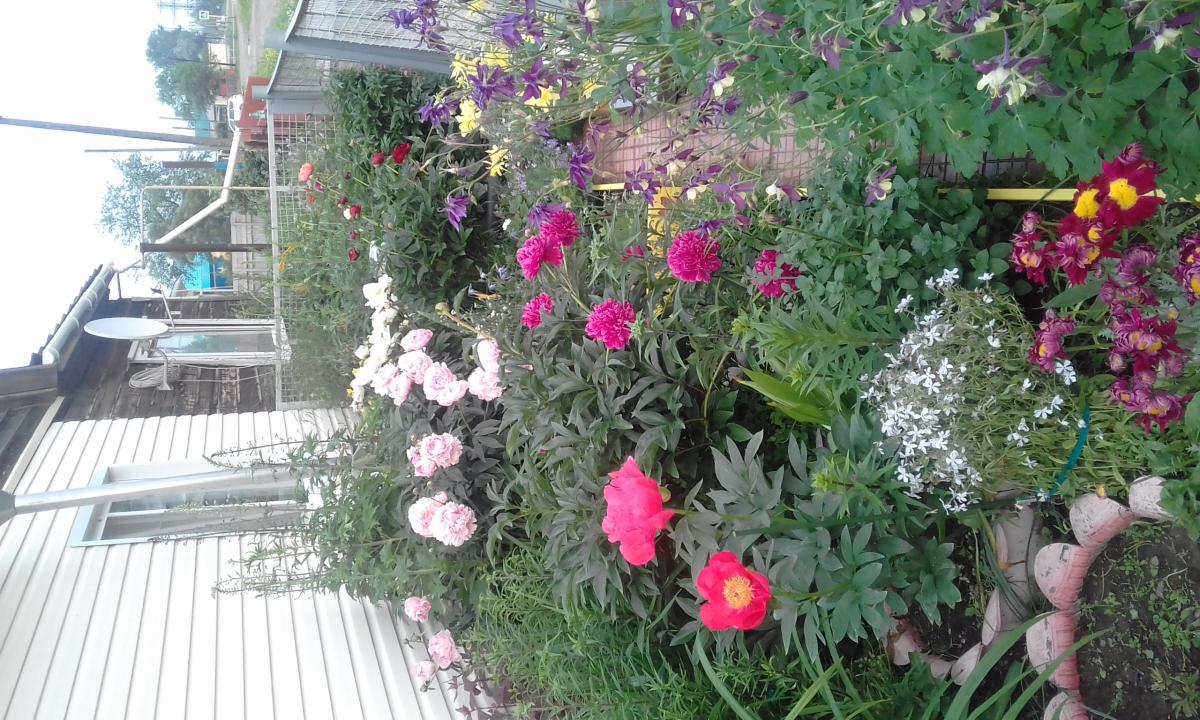 20190703_201155.jpg