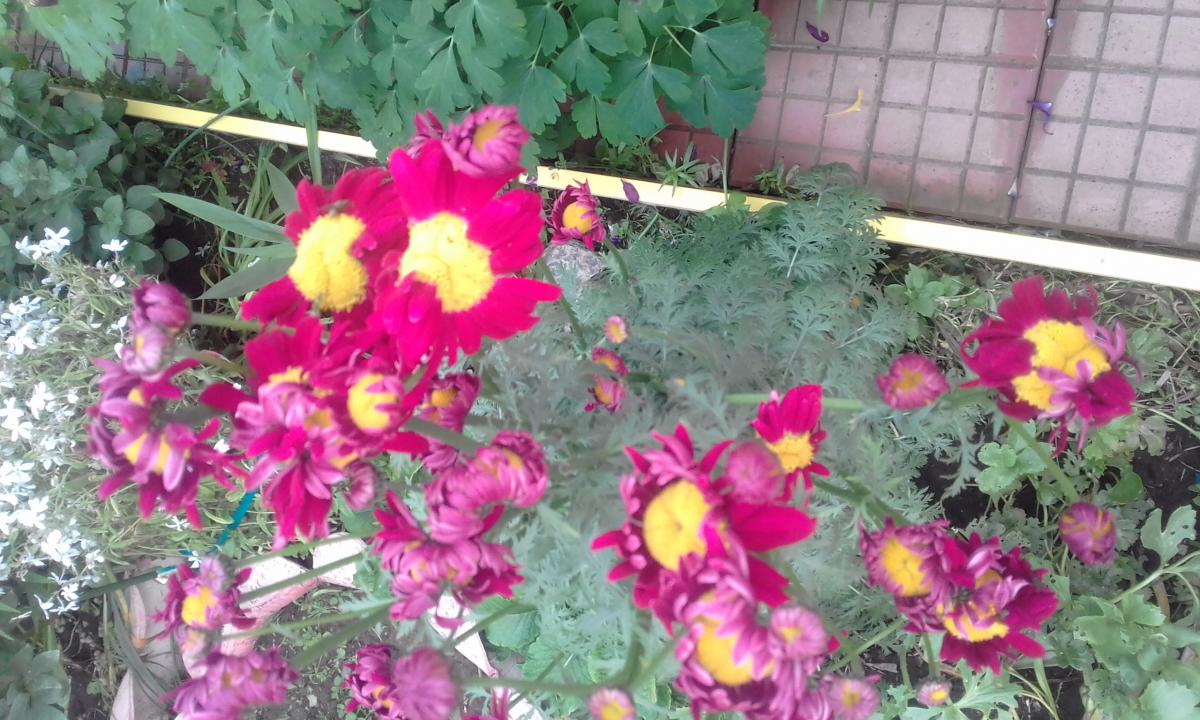20190703_201159.jpg