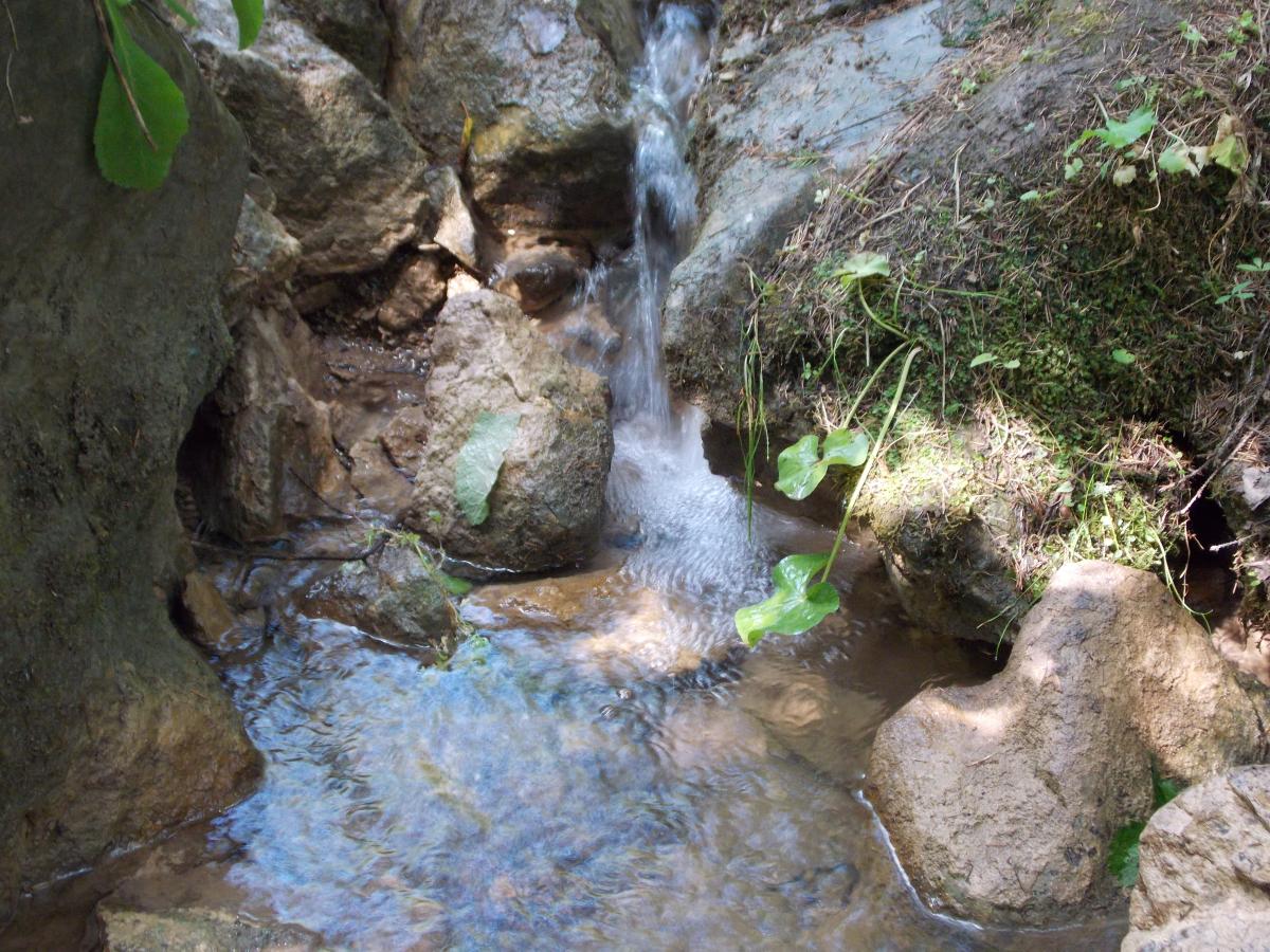 DSCN6008.JPG