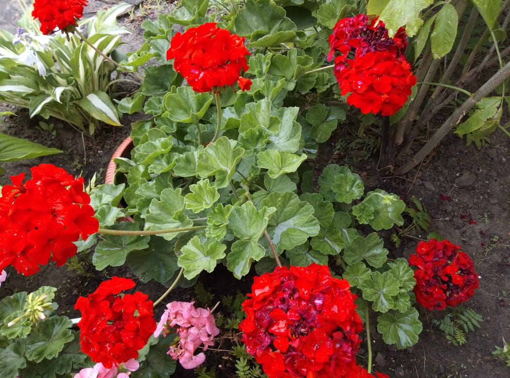 a724f446-670c-4c5f-87b9-bd320f6a85e5.jpg