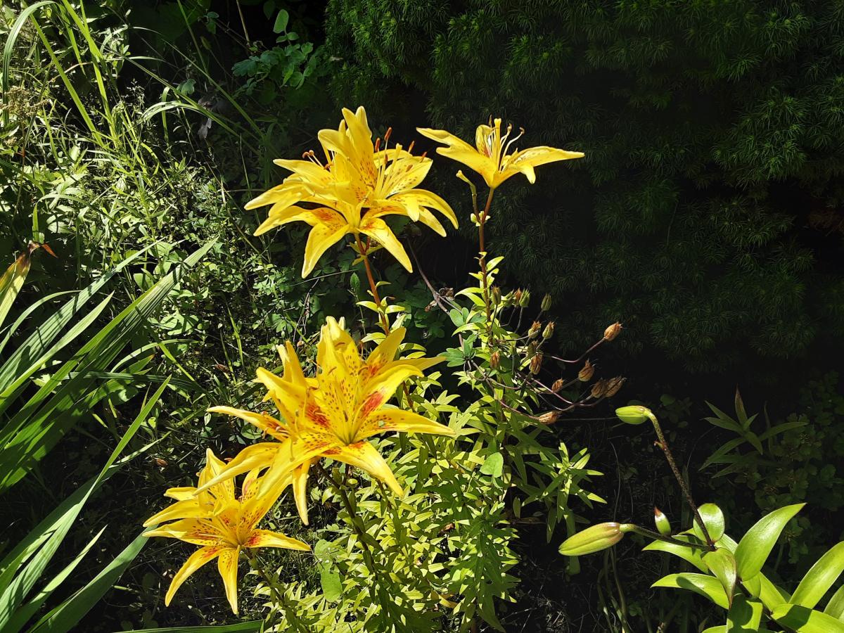 20230721_103415.jpg